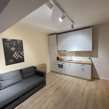 Ruby Luxury Close To Presidential Palace * Bucharest
