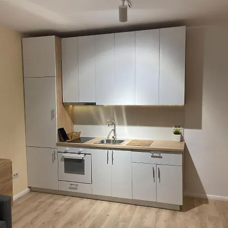 Ruby Luxury Close To Presidential Palace Apartment *